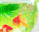 Ikeda Yoshitaka様専用でございます Ikeda Yoshitaka様以外の購入はご遠慮ください。 イメージ1