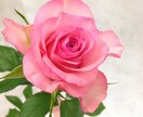 霊能力で、あなたの悩みを解決致します 霊感霊視チャネリングで鑑定致します イメージ1
