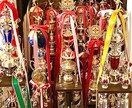 フルコンタクト空手/組手のコツを教えます 本気で頑張っている少年部限定です。選手と選手の親御様向け イメージ1