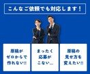 Indeed（インディード）の求人原稿を作成します 元Indeedゴールドパートナーの制作職が【2案】作成！ イメージ2