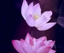 早く知りたい90分以内に占います &チャネリングタロットで気になるコトをみてみます。 イメージ1