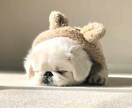 寝れない時などお話し聞きます 誰かと話したい時ありますよね。そんな時話しましょう！ イメージ1