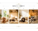 ペットのSNSリンクを1ページにまとめます インスタ・ユーチューブなどを、スマホで見やすく整理します イメージ3