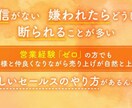 売り込まずに売れる営業術・セールス術をお伝えします 営業初心者・個人起業家の人向けに営業術・セールス術を伝えます イメージ1