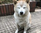 なーんでもお話し聞きます 最初は緊張するかと思いますがお気軽にどーぞ(´･ω･`๑) イメージ1