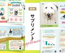先着7名様限定！特別価格でプロがチラシをつくります 品質、やりとり、納品。安心安定のサービスを心がけています イメージ6