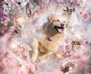 ペットのお写真をオーダーメイドアートに仕上げます あなたの大切なペットを、ファンタジーキャンバスアートに！ イメージ4