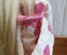 リカちゃん人形の浴衣をオーダーメイドで作ります リカちゃん人形の浴衣をオーダーメイドで作ります イメージ3