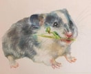 オイルパステルでペット画や似顔絵お描きします 色鉛筆とオイルパステルで温かい色合を表現。プレゼントにぜひ イメージ9