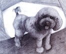 温かみのある鉛筆画でペットさんの絵をお届けします いろいろな動物描けます！記念やプレゼント用に イメージ7