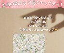 Canvaで作った名刺・画像の文字や写真を修正ます 時間がない方・自信がない方のための軽微デザインサポート イメージ3