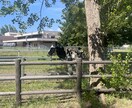 大学生の悩み相談します！ます 進路、バイト、就活のこと色々聞いてください イメージ1