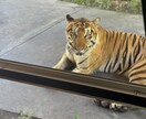 海外旅行をオシャレに楽しむプラン考えます 海外旅行好き目線でオシャレな旅行プランを提案します！ イメージ2