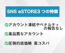 Xの日本人フォロワー100人徐々に増加させます X・旧Twitterの日本人フォロワー増加　高品質アカウント イメージ2