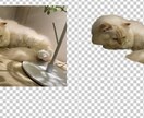 画像の切り抜きします ひとつひとつ丁寧に対応させていただきます イメージ2