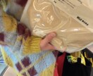 愚痴でも惚気話でもなんでも聞きます あなたの思いをぶつけてください イメージ1