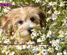 AIが画像や動画中の物体を自動で検出・加工できます AIがあなたに代わり自動で画像や動画加工いたします！ イメージ1