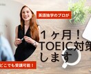 TOEIC対策／文法の苦手をなくします TOEIC対策サポートをします イメージ1