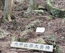 光と愛の将棋道 — 3日間自由セッションしています あなたの現局面から光と愛のカウンセリングしていきます イメージ10