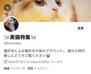 Instagram /Twitter運用代行します アパレル経営者が IG・Twitter運用代行致します。 イメージ7