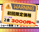 期間限定価格！ショート動画制作いたします 2本3000円で受注！格安でも丁寧に制作します。 イメージ1