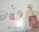 食事・運動・生活習慣を一緒に見直します 無理せず続ける健康習慣！目指しましょう！ イメージ2