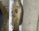 一庫ダムのポイント教えます スモールマウスバスが釣れるポイント教えます！ イメージ4