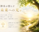 神木の答えはYES？NO？ペンデュラムで導きます 迷いを手放し、神木からの答えを受け取りませんか？ イメージ8