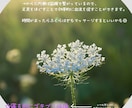 漢方相談、体質のご相談お受けします 心身を整えることで、快適な生活を目指せます。 イメージ3