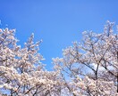 中学受験国語読解、大学受験英語の受験相談します 勉強方法、受験校、学校生活、日々の生活の悩みの対応講座です。 イメージ1