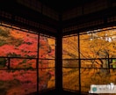 京都観光スポットロケハン代行します 忙しいあなたに代わって　京都の有名どころから穴場まで イメージ8