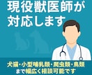 エキゾチックアニマルのお悩み相談お伺いします どんなペットの相談でもOKです イメージ5