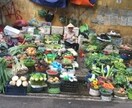 あなただけのベトナム旅行計画をお手伝いします 安くてごはんの美味しいベトナムを巡ってみませんか？ イメージ2