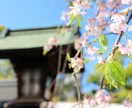 女子大生がワンコインで2日間話のお相手になります (何か人に話せないような悩みのある方、話を聞いて欲しい方) イメージ1