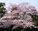 愚痴でもなんでも聞きます 1人で悩んでる事なんでも聞きます。 イメージ1