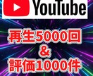 YouTube再生回数を増やします YouTubeで再生5000回＆評価1000件増やします！ イメージ1