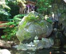 霊視で視る人生のバイオリズム。転機をズバリ当てます 婚期・結婚生活・転職→未来霊視で当り前の日常に反撃の牙を剥け イメージ3