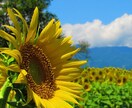 三分でも五分でも、電話でお話を聞きます <秘密厳守>いたします。どんなお話でも聞きます。 イメージ3