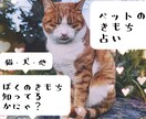 おうちのペットのきもち占います わんちゃん、猫ちゃんの心をやさしく読み解きます イメージ1