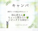 ココナラの始め方｜電話占い.高額商品も教えています ◎90分質問し放題◎出品までお手伝い.商品バナーもプレゼント イメージ10