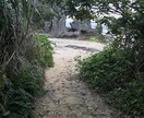沖縄在住の僕がオススメ観光スポット色々教えます 旅行に来られる方や観光スポット穴場スポットにたどり着けない方 イメージ4