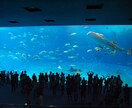 子連れ旅行の不安を安心に変えるプランを作ります ご希望に応じて、航空券・ホテルの予約、旅行手配もできます。 イメージ3