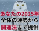 あなたの2025年の運勢と開運法を伝授します サードアイ霊視で視るあなたの未来、使命　オーダーメイド開運術 イメージ1