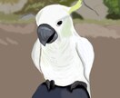 ペットイラスト承ります 大切な家族であるペットまたは、お好きな動物お描きします。 イメージ3