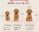 暗闇で優しく光る！蓄光アクリルスタンド作ります 「昼と夜で、表情が変わる。」 世界にひとつの光るアクスタ イメージ6