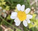 今を変えたい方メンタル鍛えます 今を変えたいなど、思考回路の改革に協力致します。 イメージ1