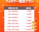 インスタ 日本人フォロワー100人増やします ⭐安心・安全⭐高品質⭐減少時補填有⭐凍結無⭐減少無⭐ イメージ2