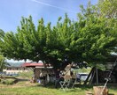 田舎のリアル、移住の不安…ゆるっと相談のります 田舎暮らしについて、信州の野山で育った農家の兄ちゃんが話すよ イメージ5