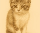 あなたの大切な猫ちゃんをイラストにします サンプルのように繊細なタッチでお描きします。商用利用◎ イメージ6