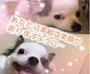 介護業界への転職や就職に関する不安をお聞きします 介護職の不安や悩みを伺い、介護経験者がアドバイスします！ イメージ9